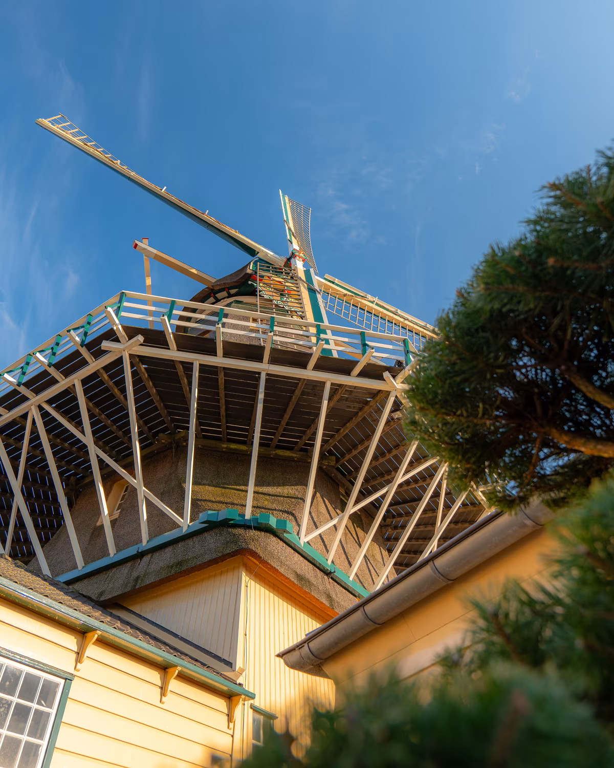 Onderkant van houtzaagmolen De Heesterboom bij WOODS Leiden met blauwe lucht